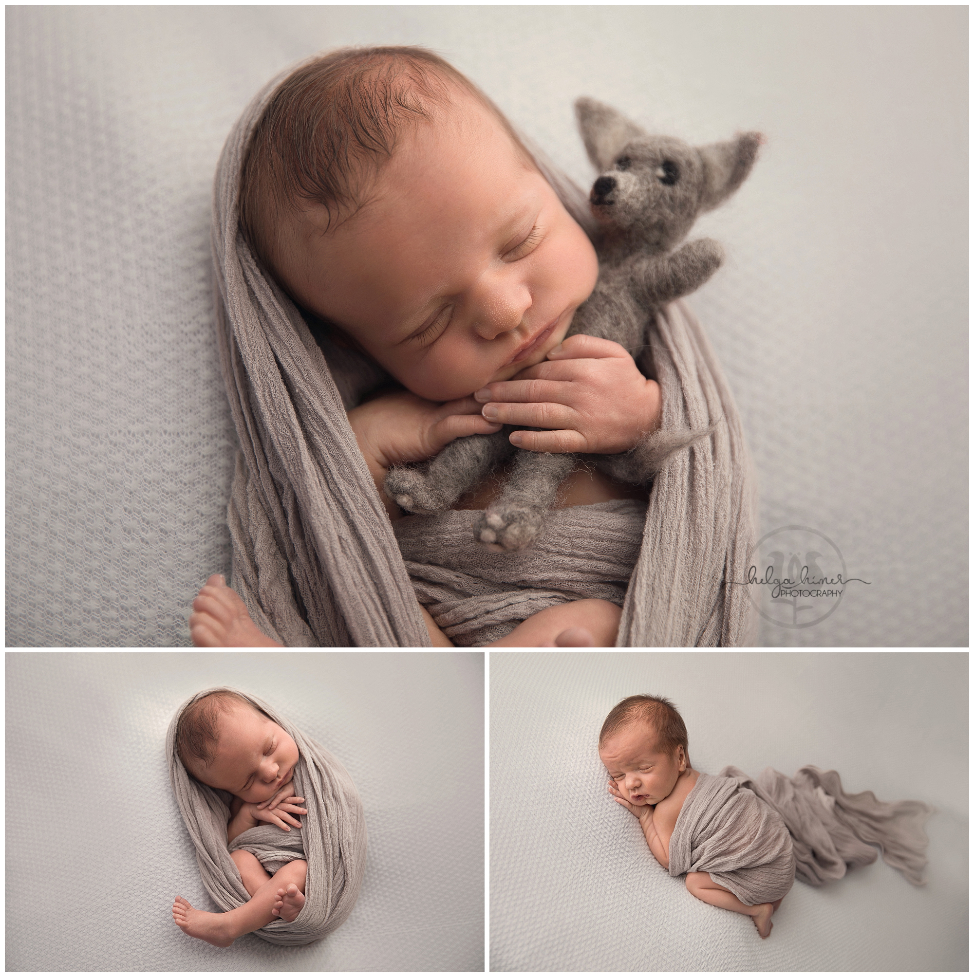 newborn-photography-ezra-helga-himer-photographer-sudbury-white-gray-wolf-prop